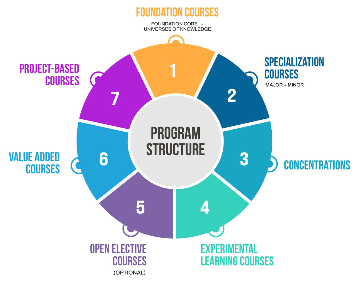 Undergraduate Program Structure