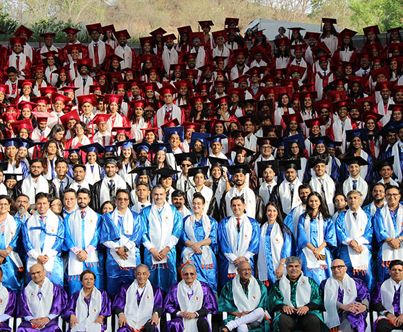 Article Intro Image Article Intro Image