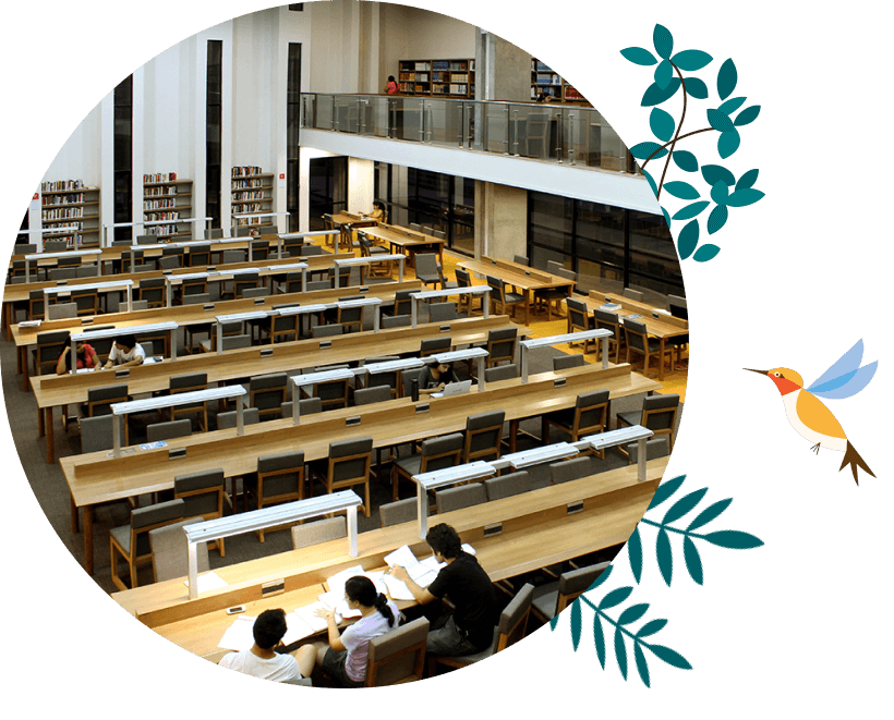 Article Intro Image Article Intro Image